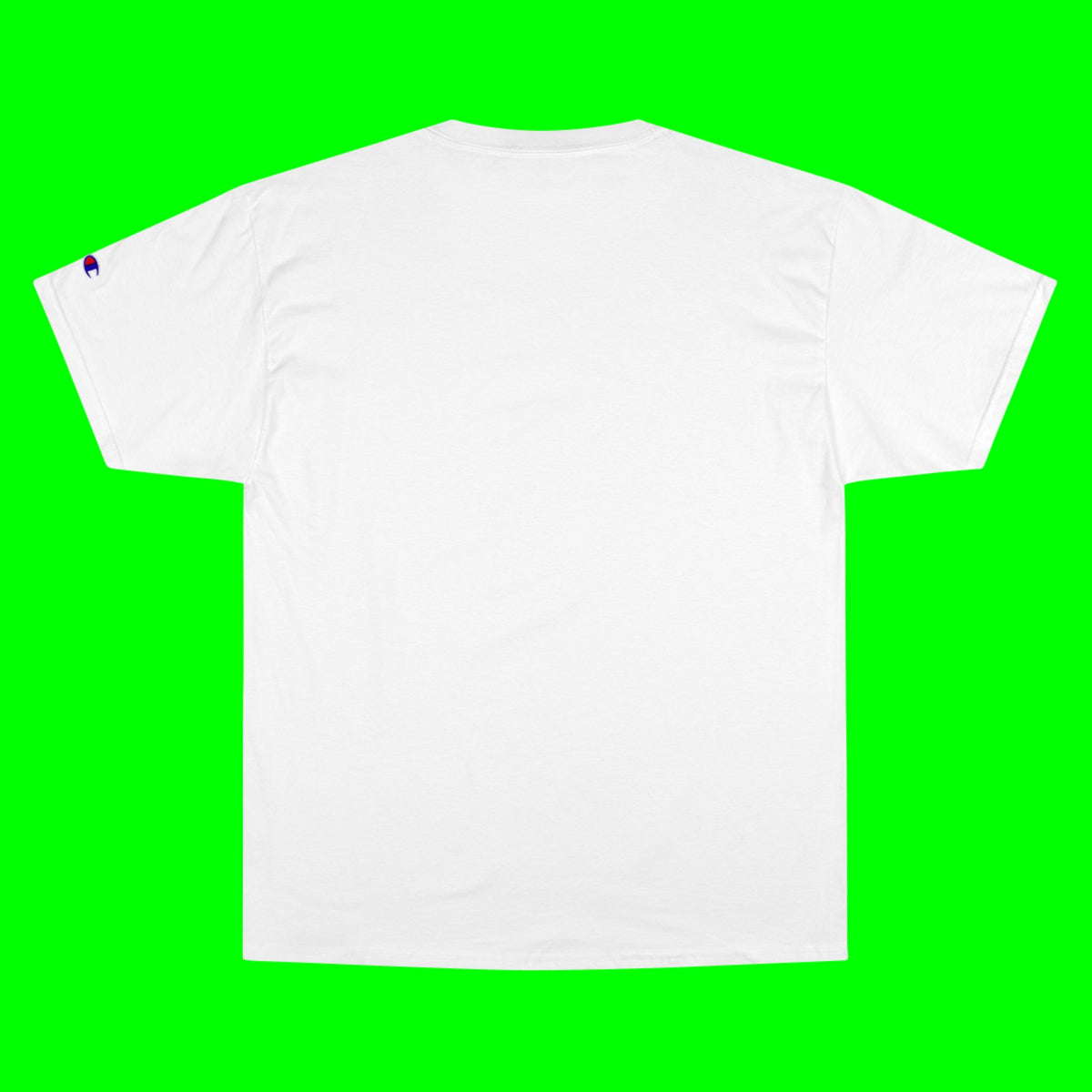 FLY, HUSKY, FLY - CHAMPION T-SHIRT