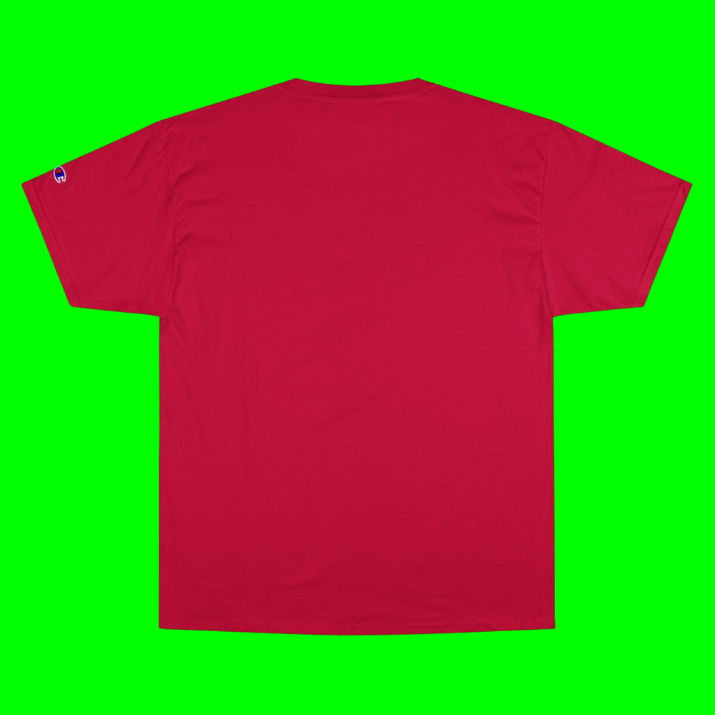FLY, HUSKY, FLY - CHAMPION T-SHIRT