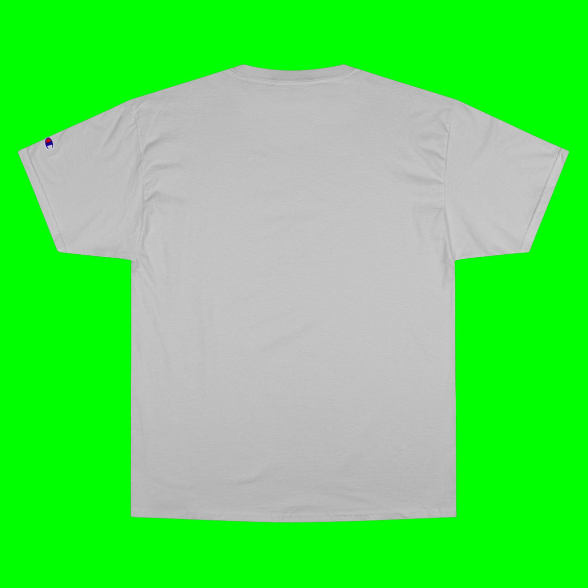 HANG IN THERE HUSKY - CHAMPION T-SHIRT