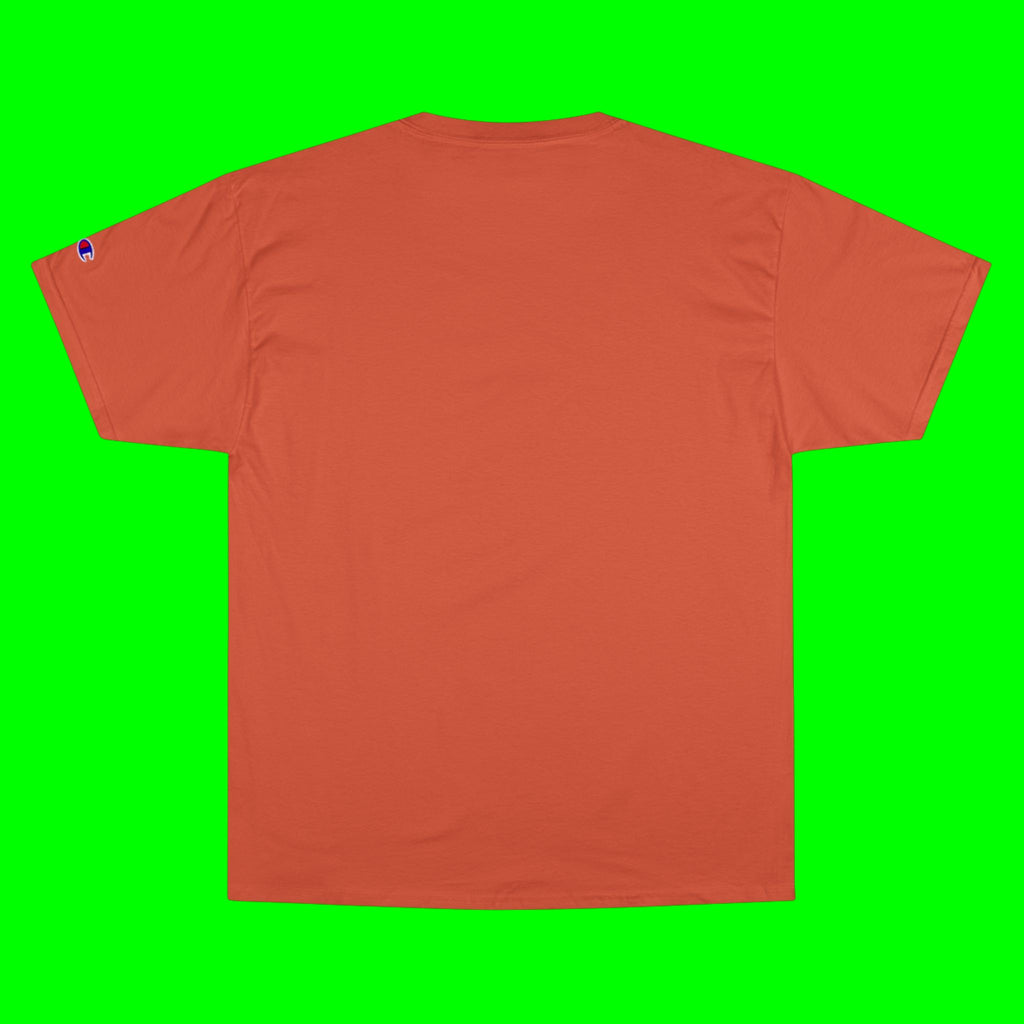 FLY, HUSKY, FLY - CHAMPION T-SHIRT