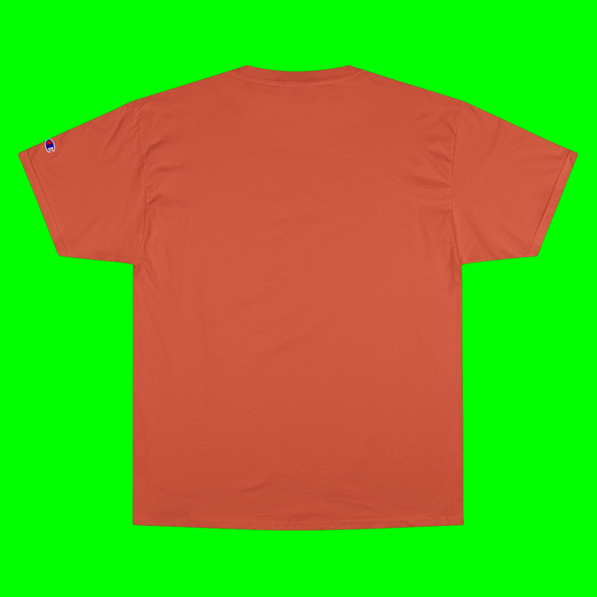 FLY, HUSKY, FLY - CHAMPION T-SHIRT
